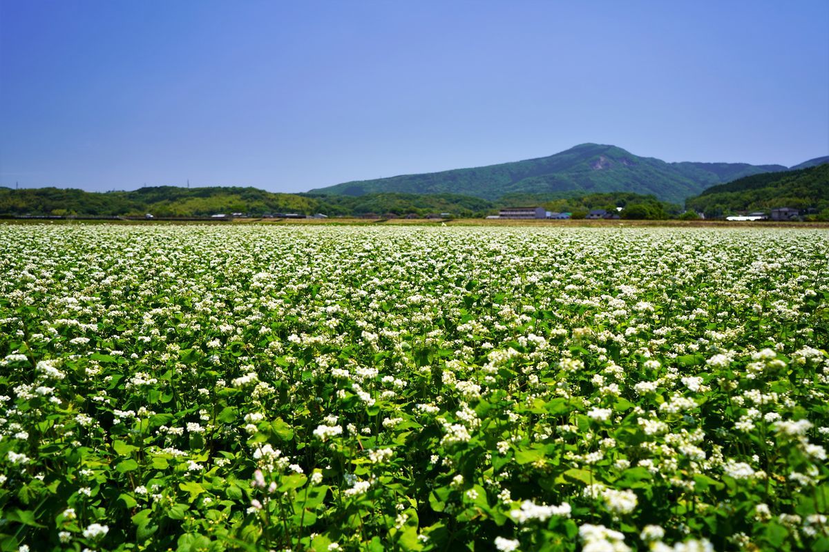 f:id:ohirune-manbou:20190522230611j:plain
