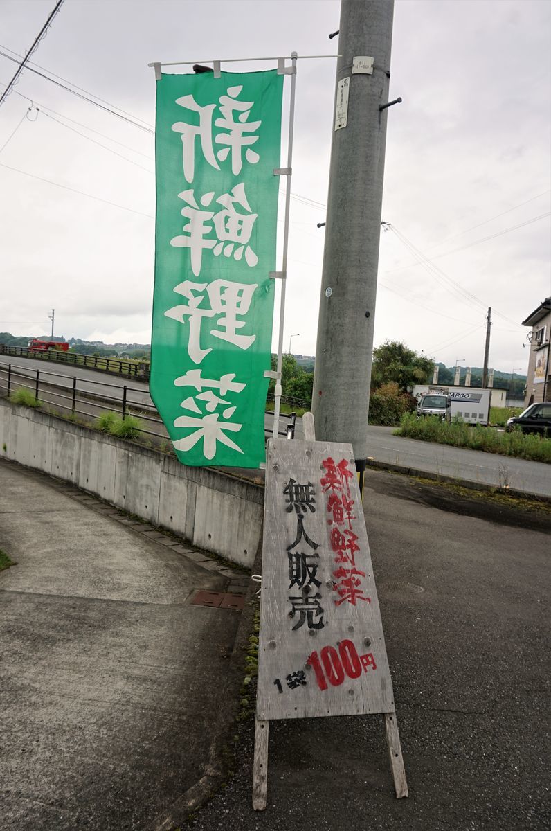 f:id:ohirune-manbou:20190528192231j:plain