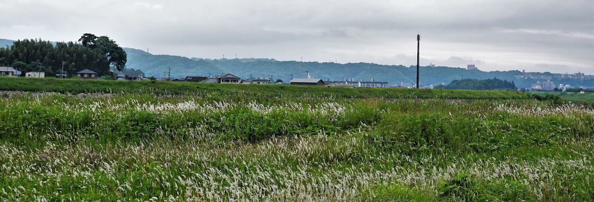 f:id:ohirune-manbou:20190528192453j:plain f:id:ohirune-manbou:20190528192453j:plain