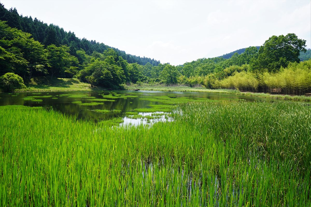 f:id:ohirune-manbou:20190607190907j:plain