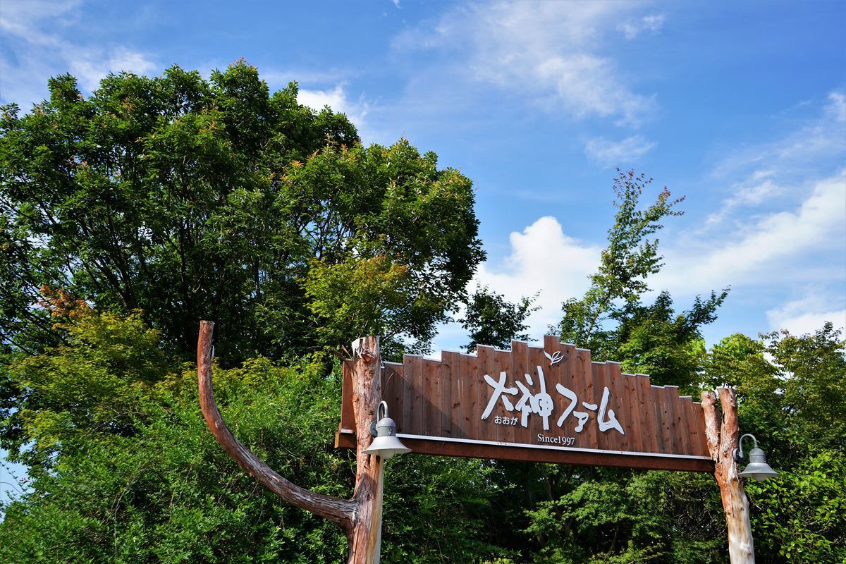 f:id:ohirune-manbou:20190625220304j:plain