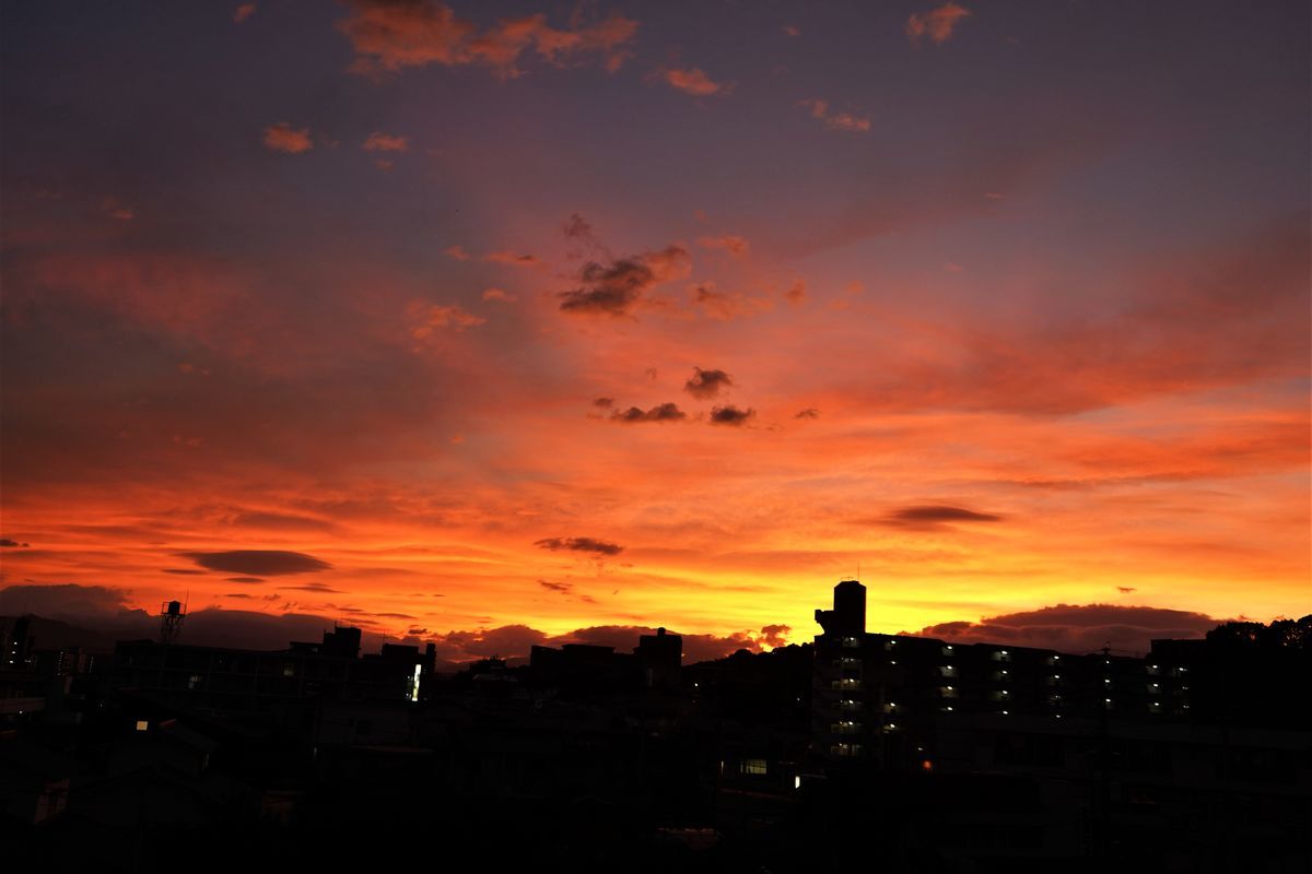 f:id:ohirune-manbou:20190813231920j:plain