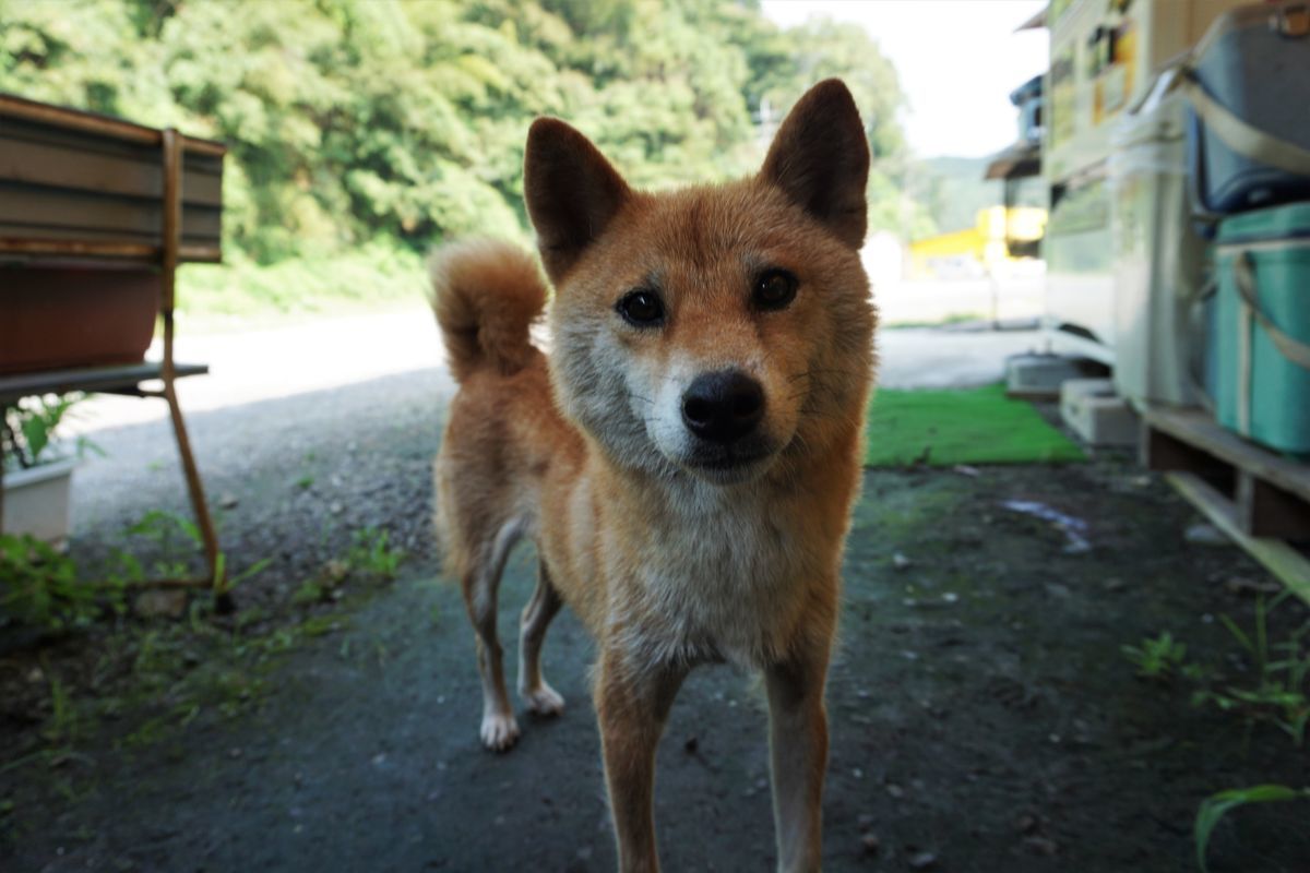 f:id:ohirune-manbou:20190912133840j:plain f:id:ohirune-manbou:20190912133840j:plain