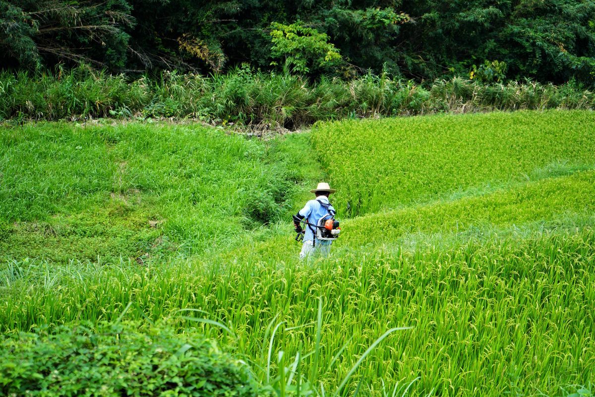 f:id:ohirune-manbou:20190912142923j:plain f:id:ohirune-manbou:20190912142923j:plain