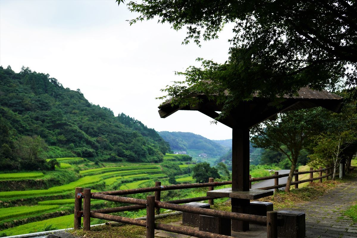 f:id:ohirune-manbou:20190912143215j:plain f:id:ohirune-manbou:20190912143215j:plain