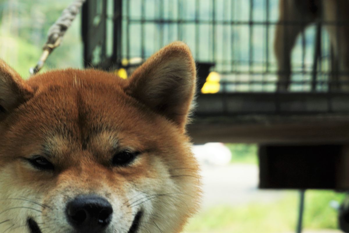 f:id:ohirune-manbou:20190912145934j:plain f:id:ohirune-manbou:20190912145934j:plain