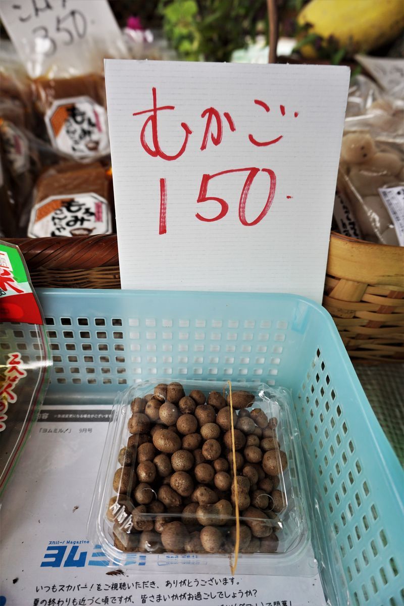 f:id:ohirune-manbou:20190929222902j:plain