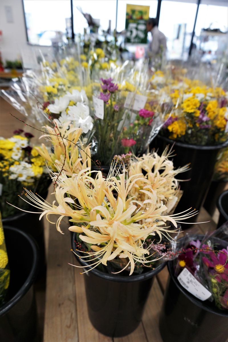 f:id:ohirune-manbou:20190930195430j:plain