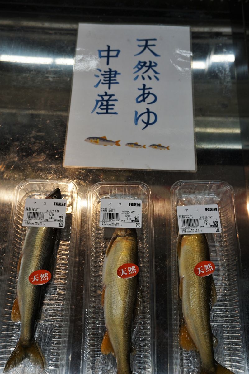 f:id:ohirune-manbou:20190930201419j:plain