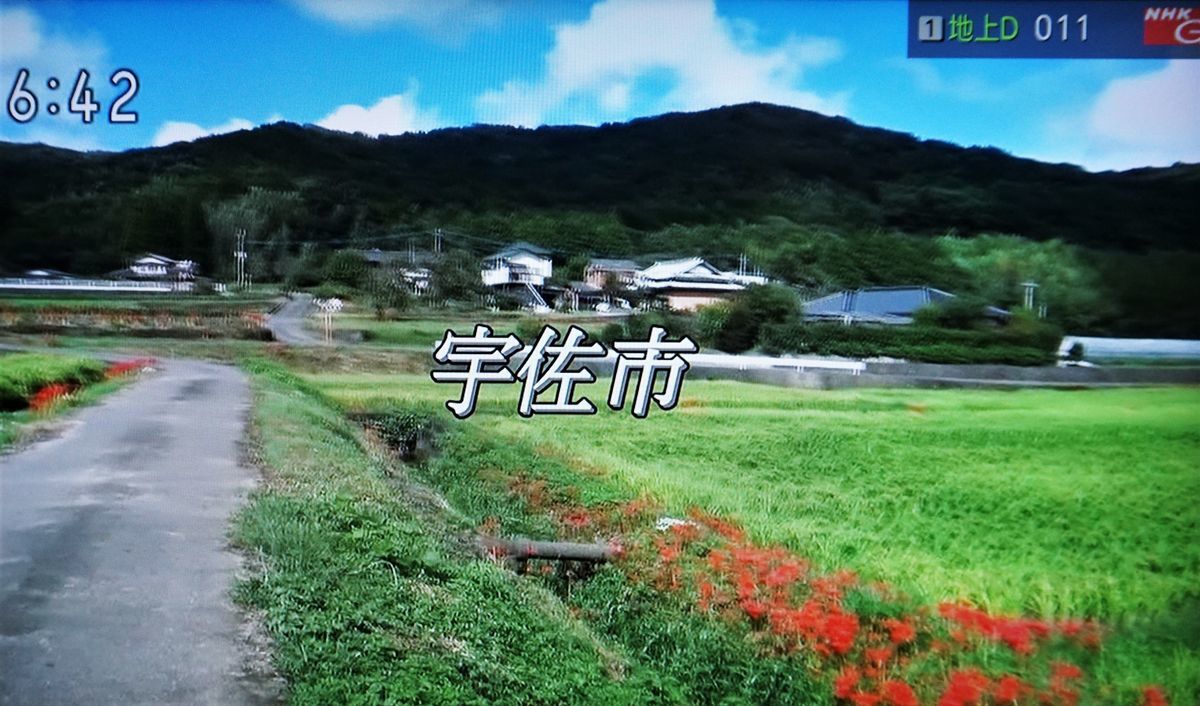 f:id:ohirune-manbou:20191002213250j:plain