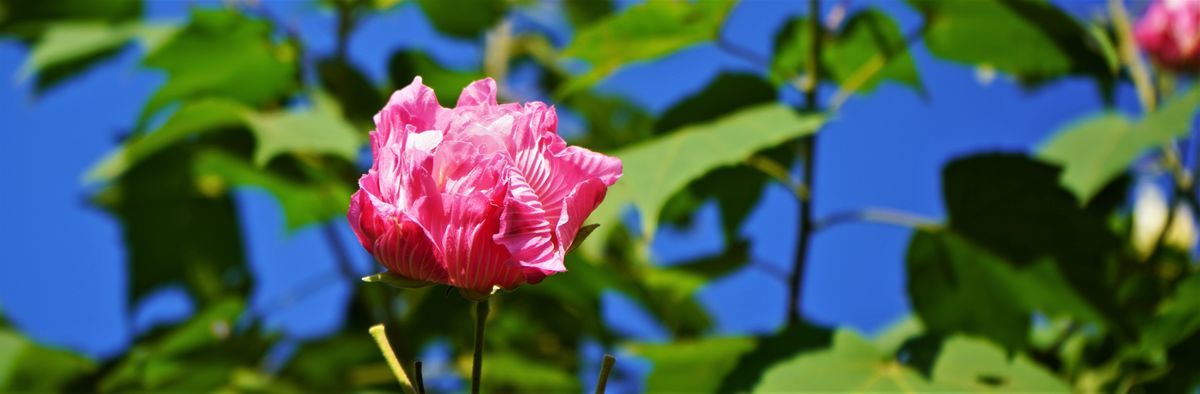 f:id:ohirune-manbou:20191014223456j:plain f:id:ohirune-manbou:20191014223456j:plain