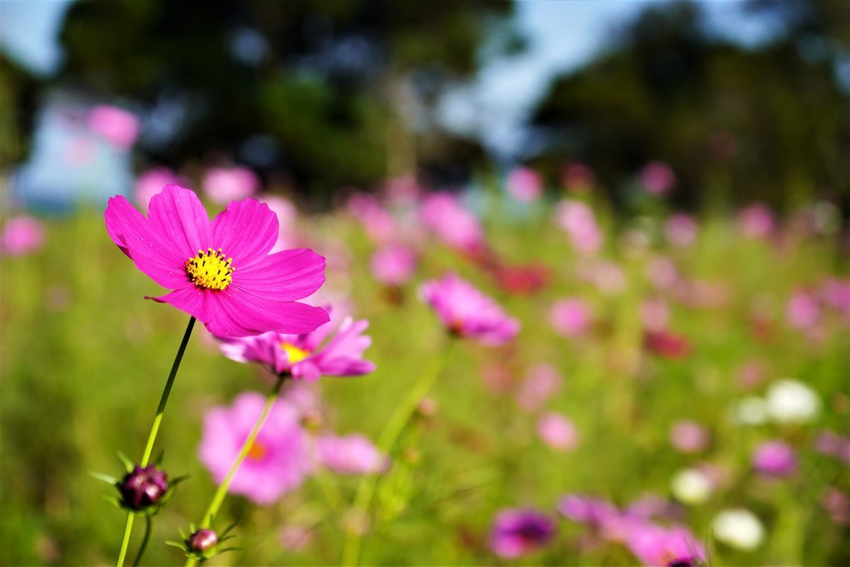 f:id:ohirune-manbou:20191014232910j:plain f:id:ohirune-manbou:20191014232910j:plain