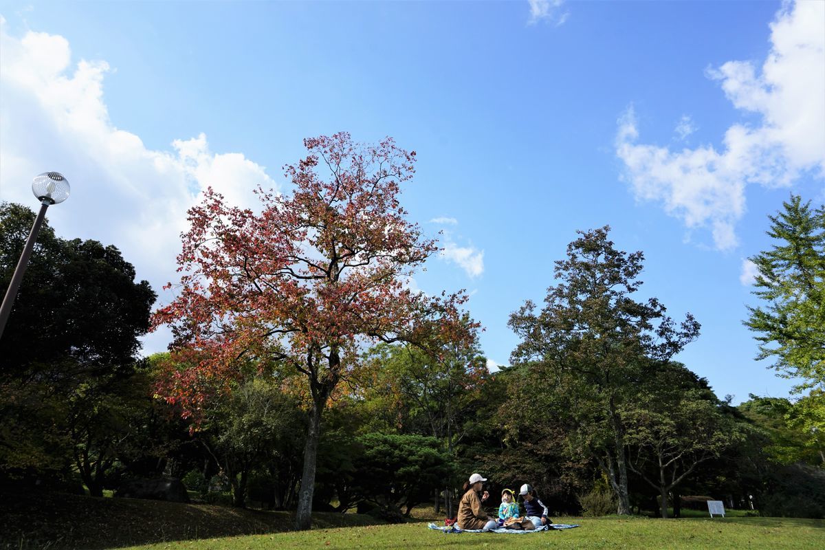 f:id:ohirune-manbou:20191112222218j:plain