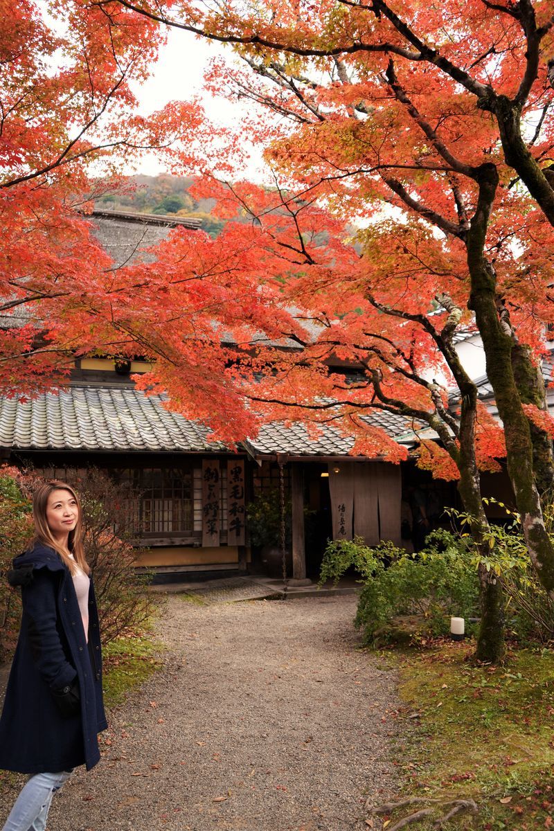 f:id:ohirune-manbou:20191118211853j:plain