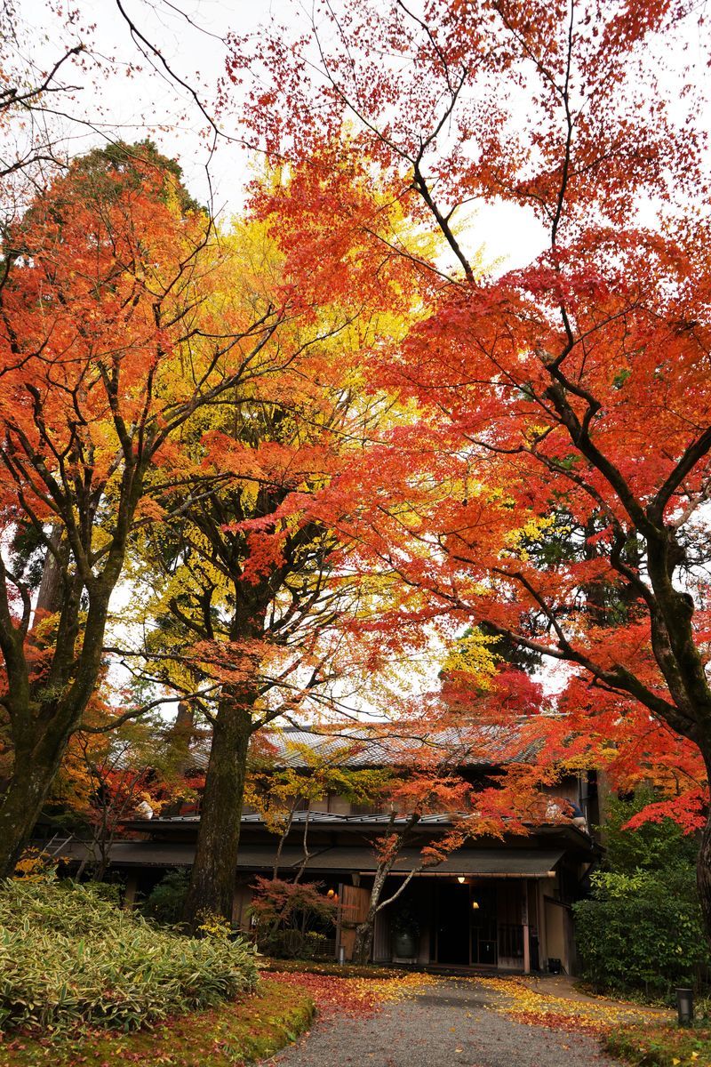 f:id:ohirune-manbou:20191118220645j:plain
