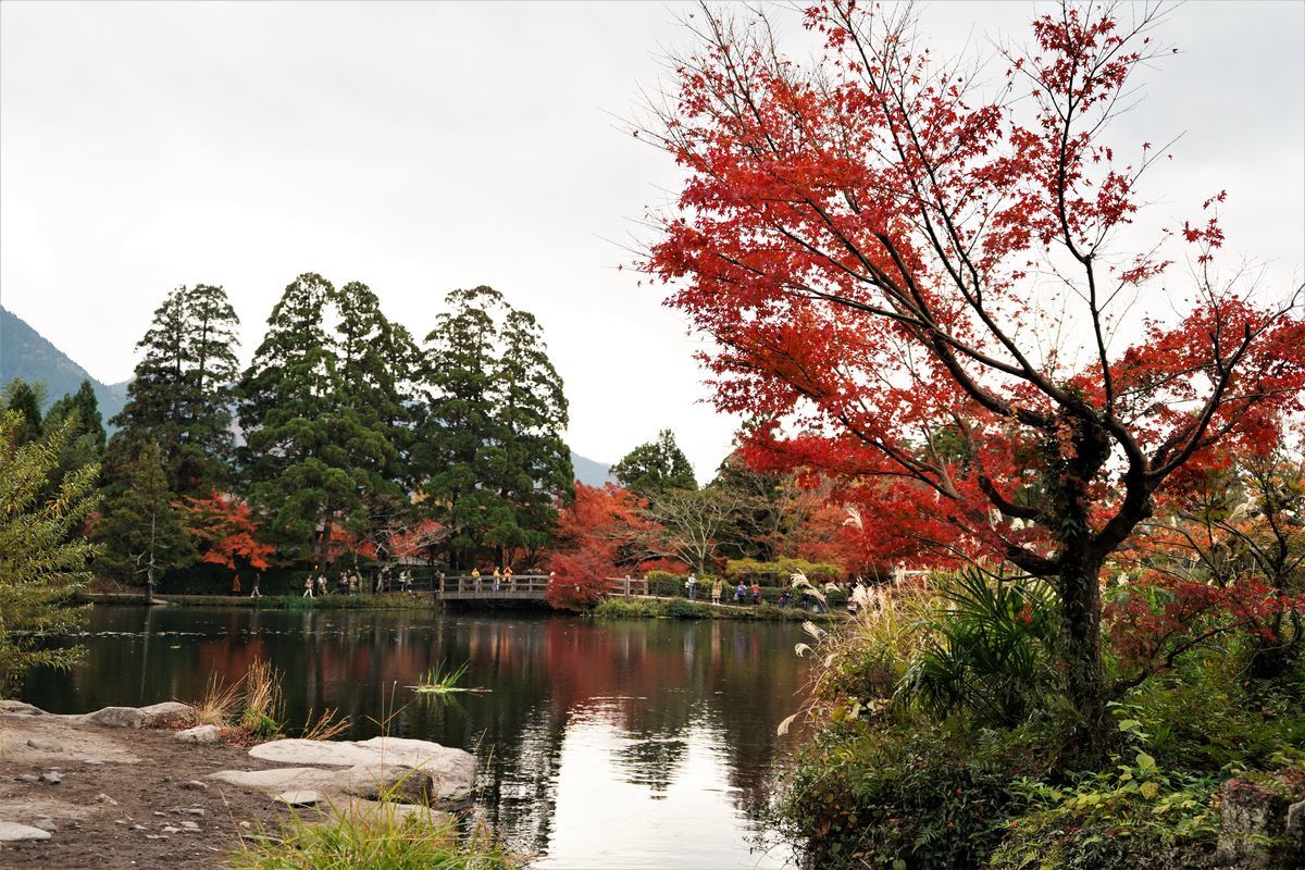 f:id:ohirune-manbou:20191118221142j:plain