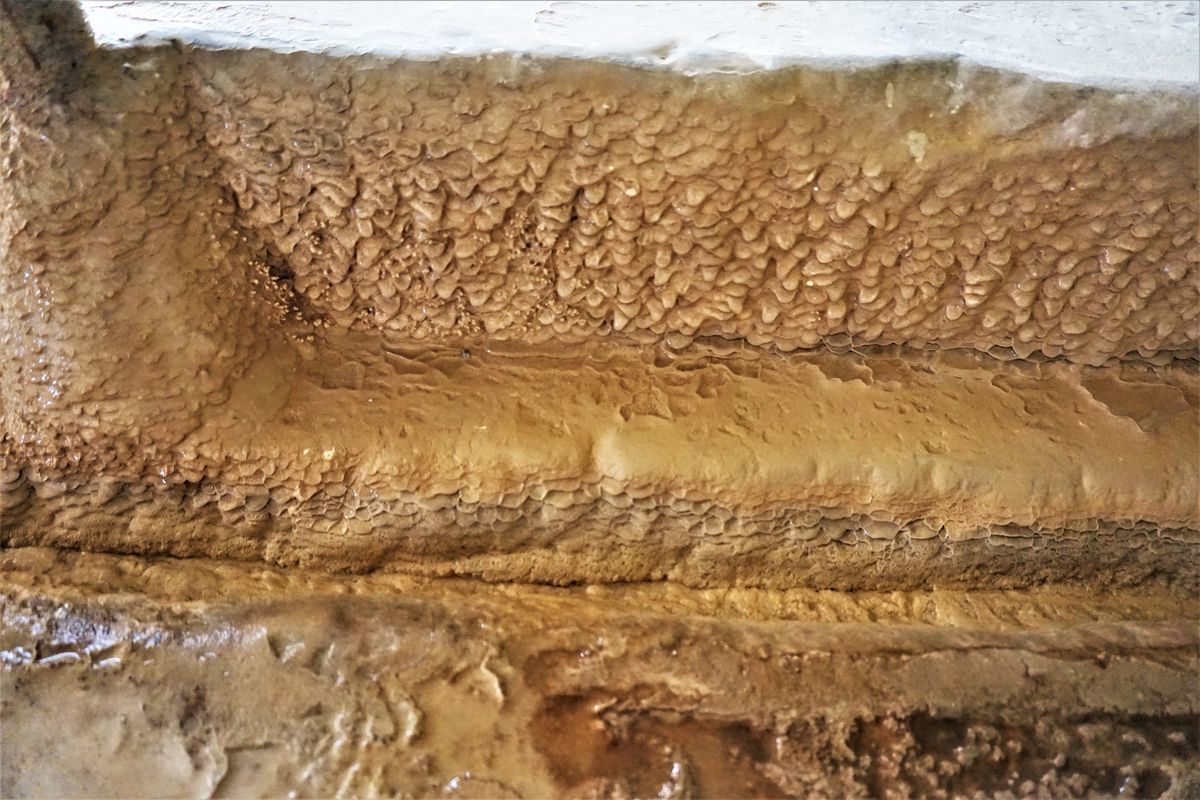 f:id:ohirune-manbou:20191226222411j:plain