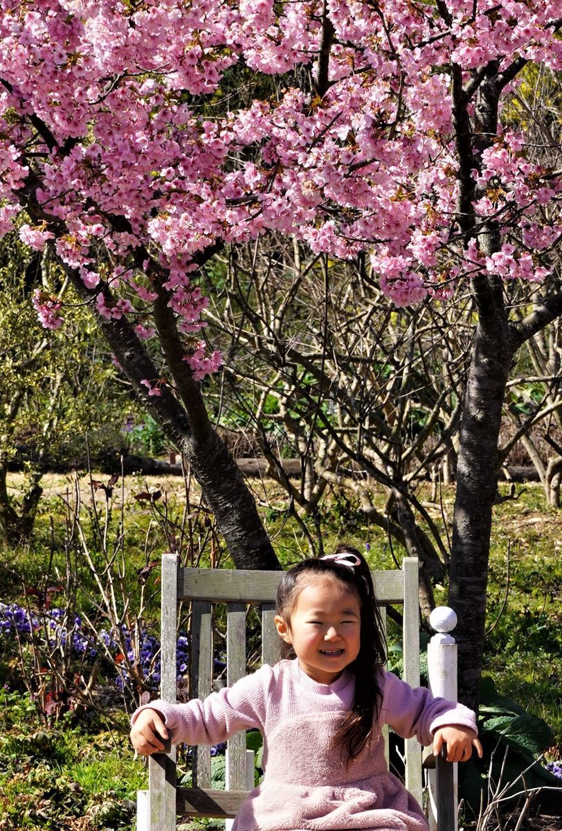 f:id:ohirune-manbou:20200225200827j:plain