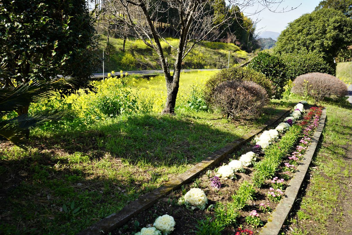f:id:ohirune-manbou:20200312144714j:plain