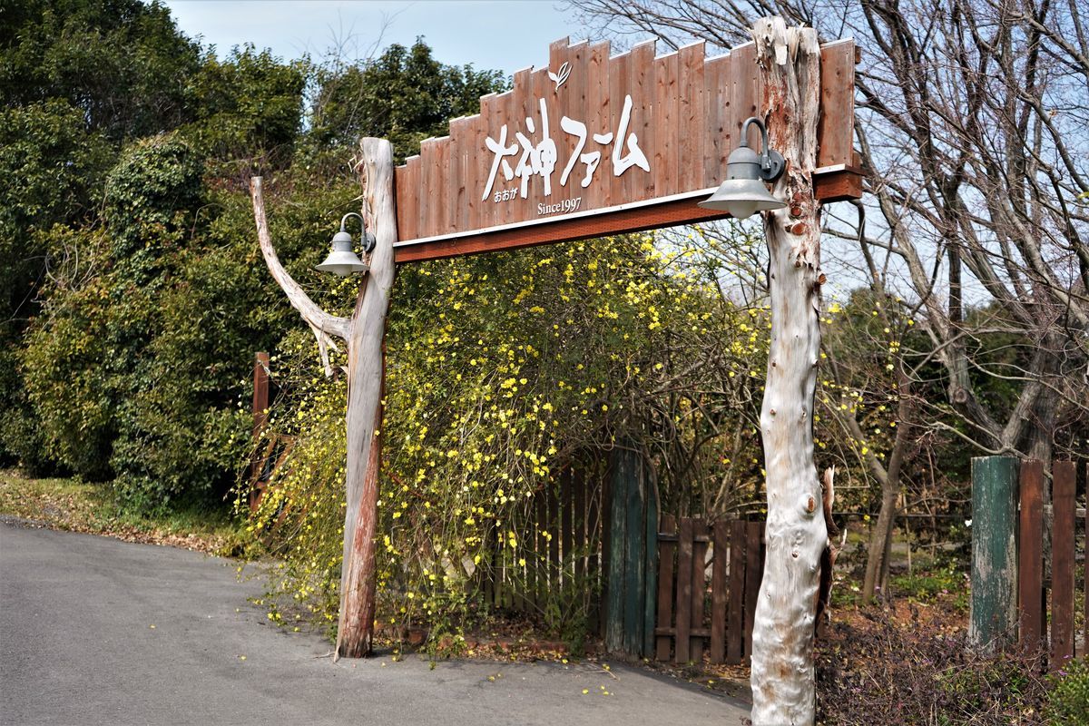f:id:ohirune-manbou:20200319213513j:plain