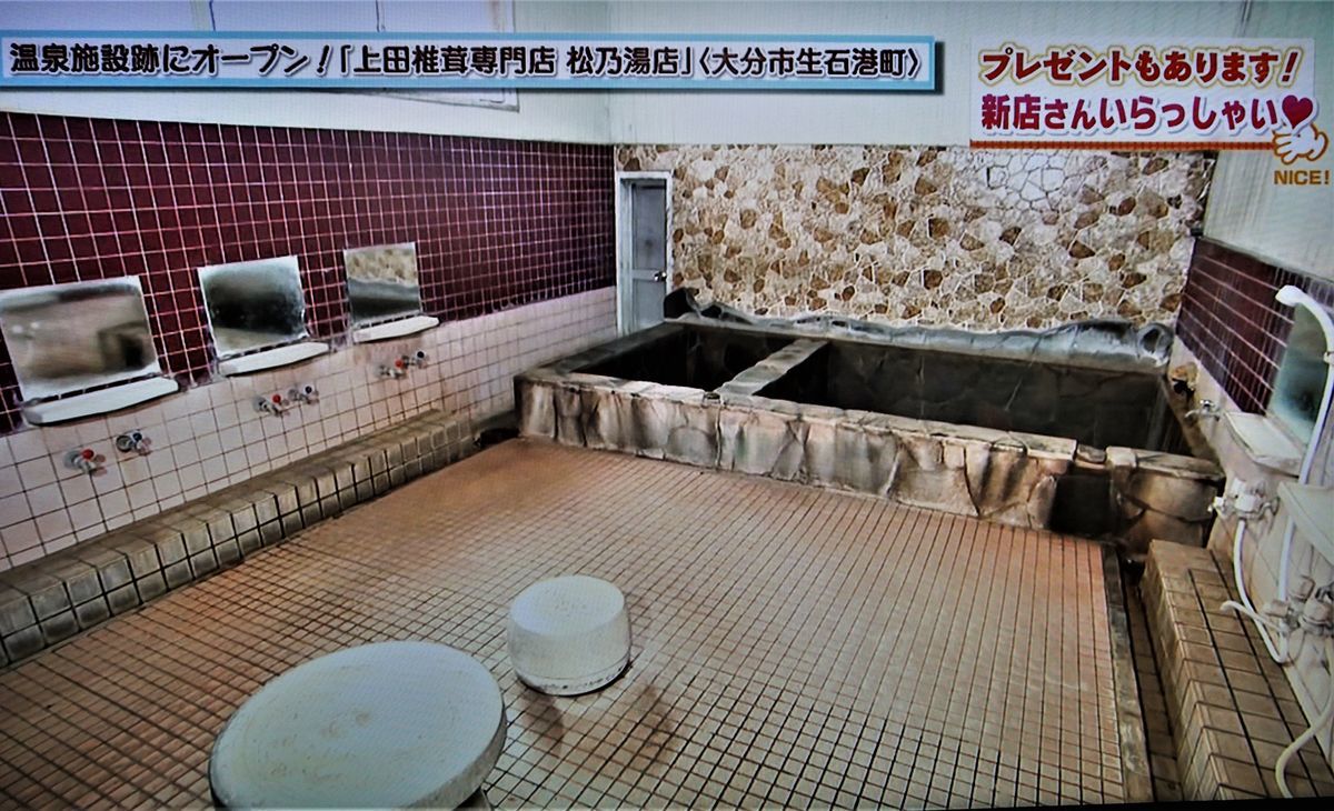 f:id:ohirune-manbou:20200401002921j:plain