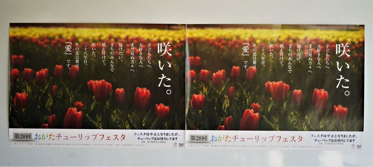 f:id:ohirune-manbou:20200409214437j:plain f:id:ohirune-manbou:20200409214437j:plain