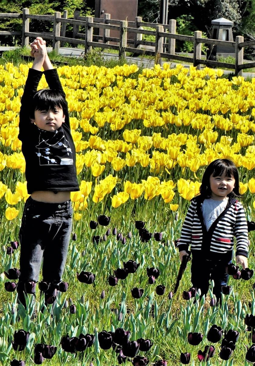 f:id:ohirune-manbou:20200409220146j:plain