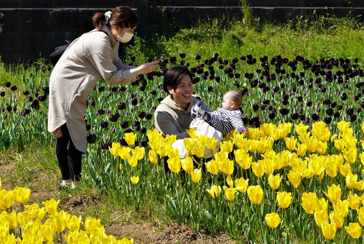 f:id:ohirune-manbou:20200409221255j:plain f:id:ohirune-manbou:20200409221255j:plain