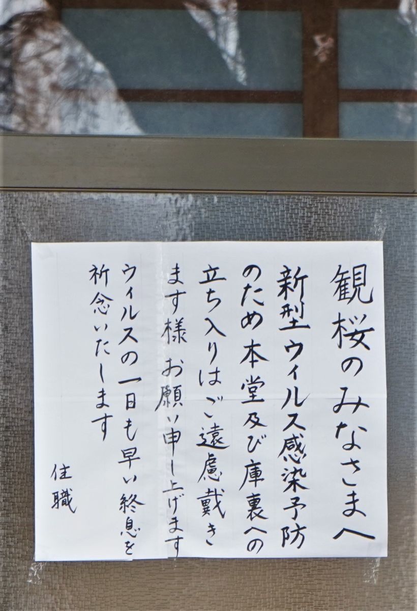 f:id:ohirune-manbou:20200411213505j:plain