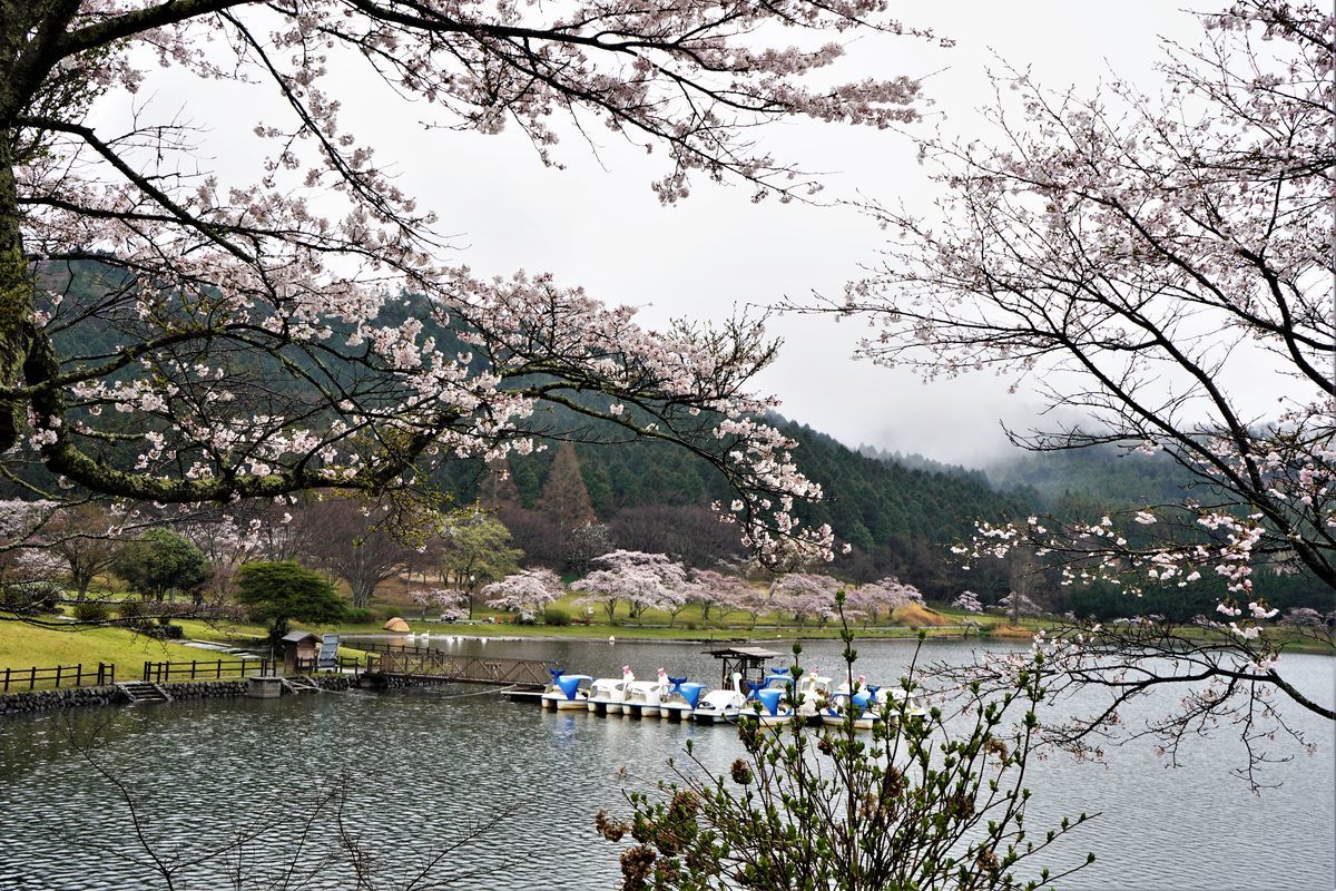 f:id:ohirune-manbou:20200411214515j:plain