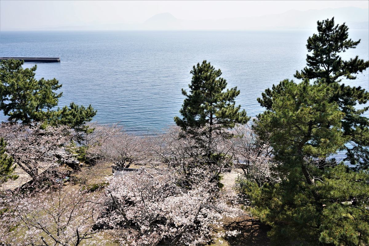 f:id:ohirune-manbou:20200411222751j:plain