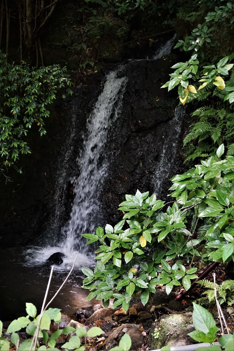 f:id:ohirune-manbou:20200603202926j:plain