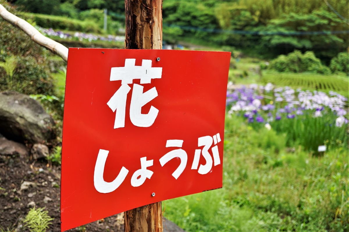 f:id:ohirune-manbou:20200615212755j:plain