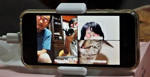 f:id:ohirune-manbou:20200824205808j:plain
