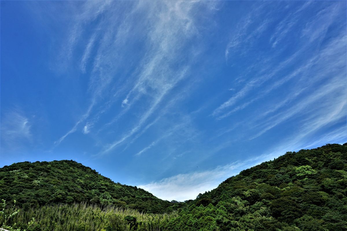 f:id:ohirune-manbou:20200902230814j:plain f:id:ohirune-manbou:20200902230814j:plain