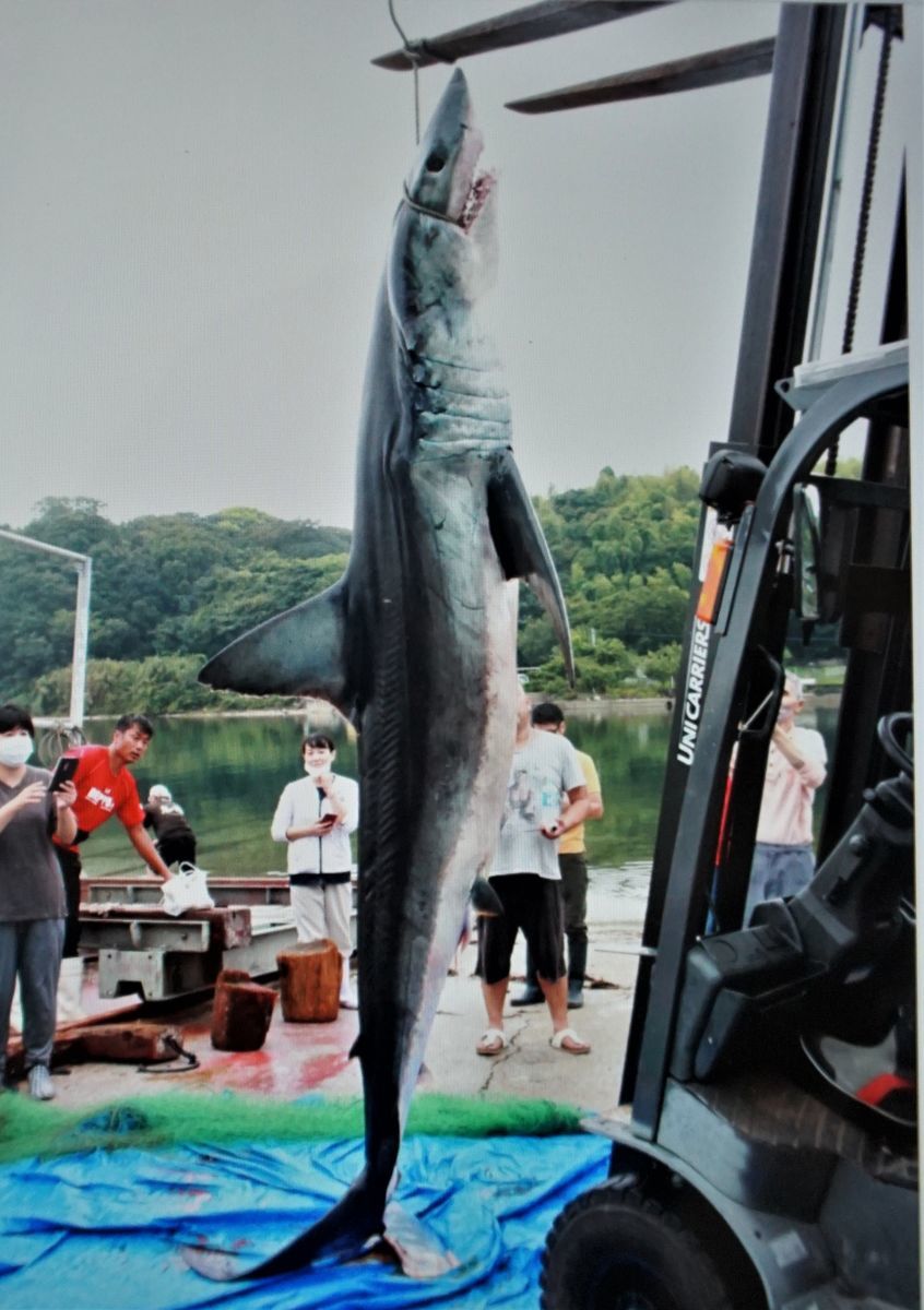 f:id:ohirune-manbou:20200906160418j:plain f:id:ohirune-manbou:20200906160418j:plain