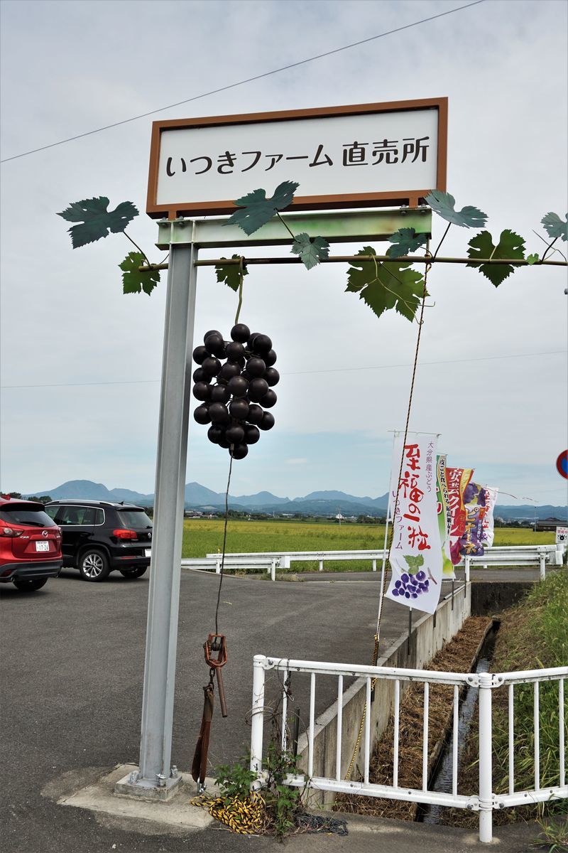 f:id:ohirune-manbou:20200922212740j:plain