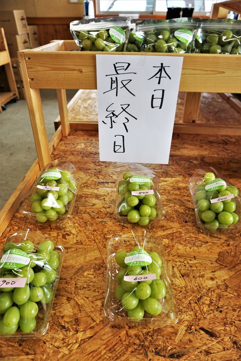 f:id:ohirune-manbou:20200922214237j:plain