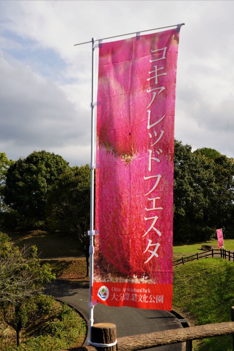 f:id:ohirune-manbou:20201012213031j:plain