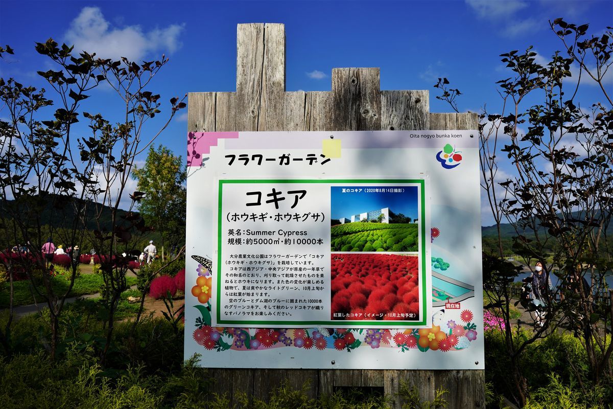 f:id:ohirune-manbou:20201012213128j:plain