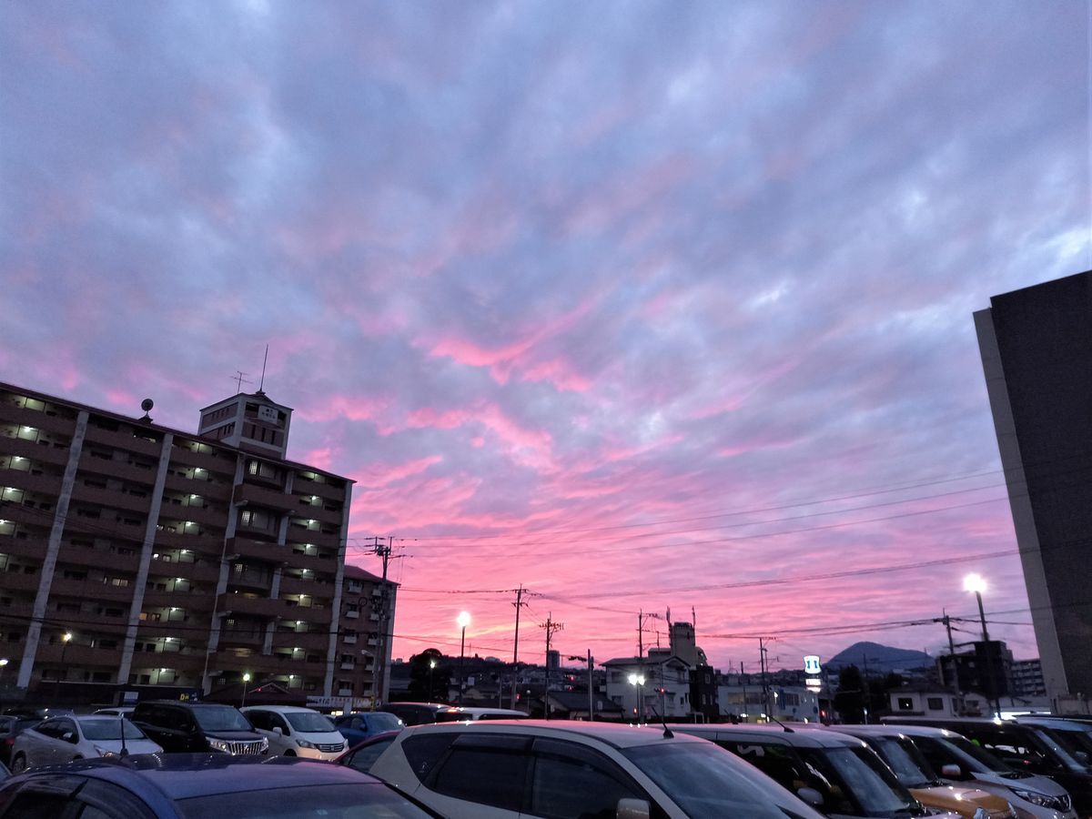 f:id:ohirune-manbou:20201019220320j:plain f:id:ohirune-manbou:20201019220320j:plain