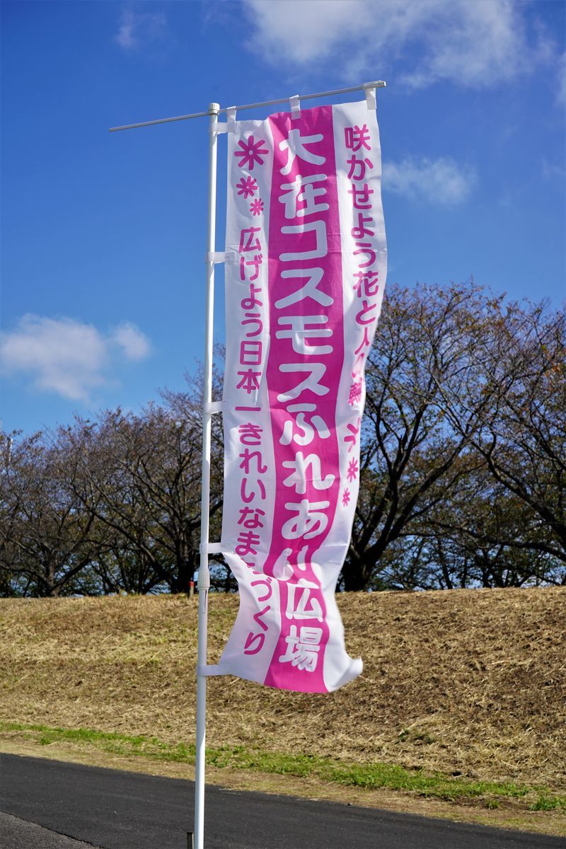 f:id:ohirune-manbou:20201020215708j:plain