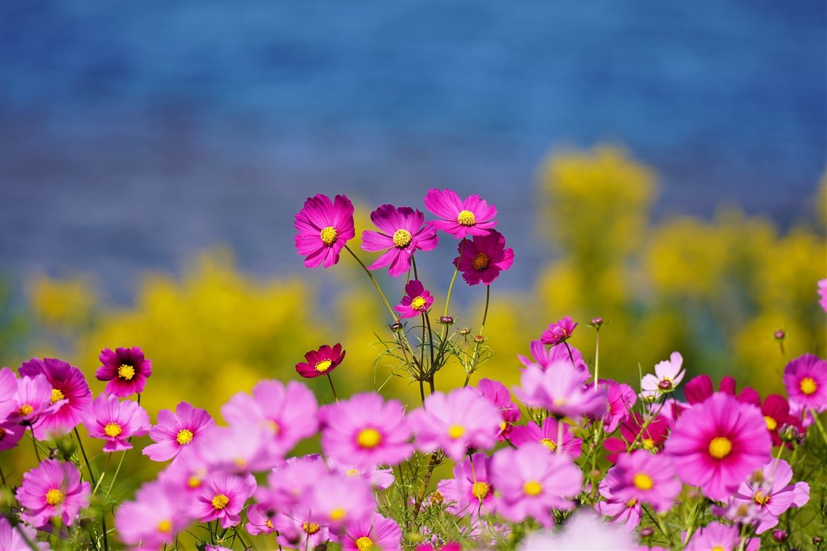 f:id:ohirune-manbou:20201020220910j:plain f:id:ohirune-manbou:20201020220910j:plain