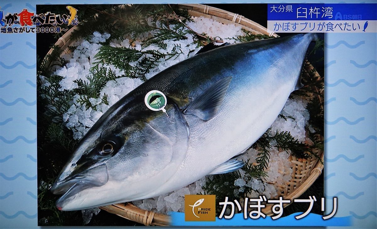 f:id:ohirune-manbou:20201105193346j:plain