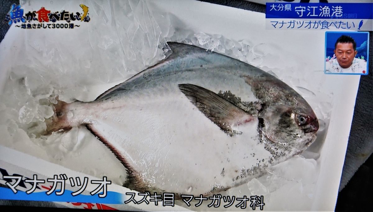 f:id:ohirune-manbou:20201105212936j:plain