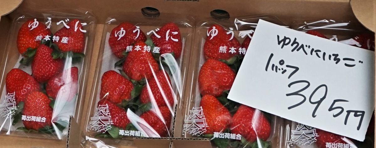 f:id:ohirune-manbou:20201130222215j:plain