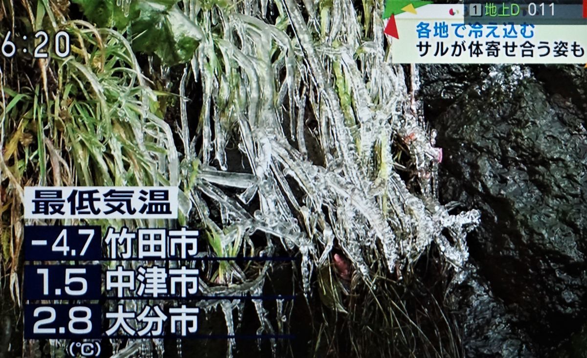 f:id:ohirune-manbou:20201215210344j:plain
