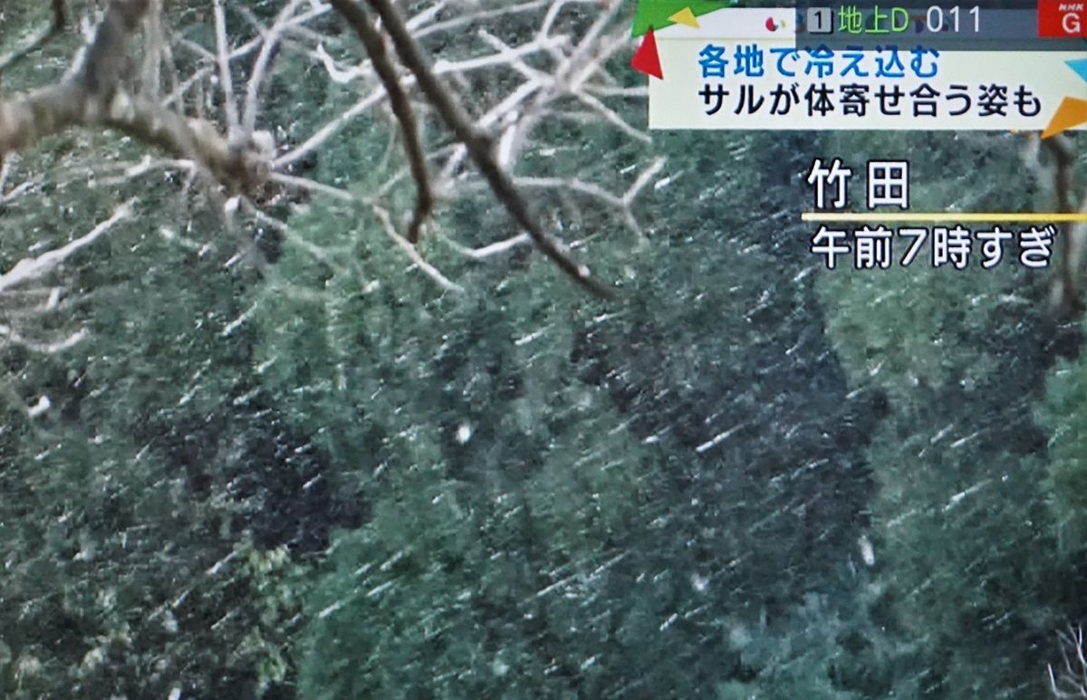 f:id:ohirune-manbou:20201215210823j:plain