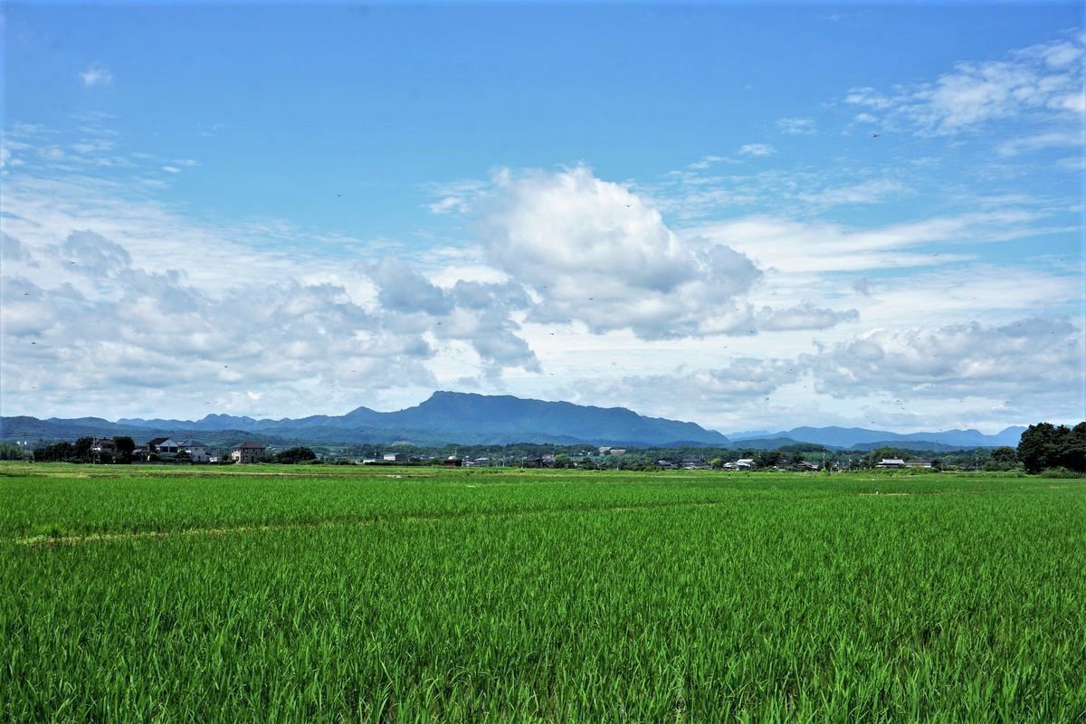 f:id:ohirune-manbou:20210124213038j:plain