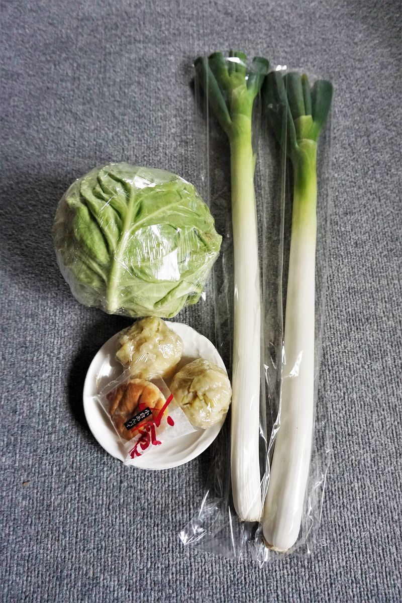 f:id:ohirune-manbou:20210228212137j:plain